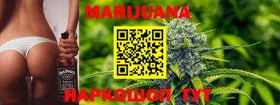 гидра Шелехов