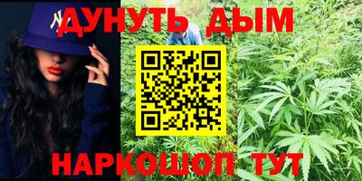 гидра Шелехов