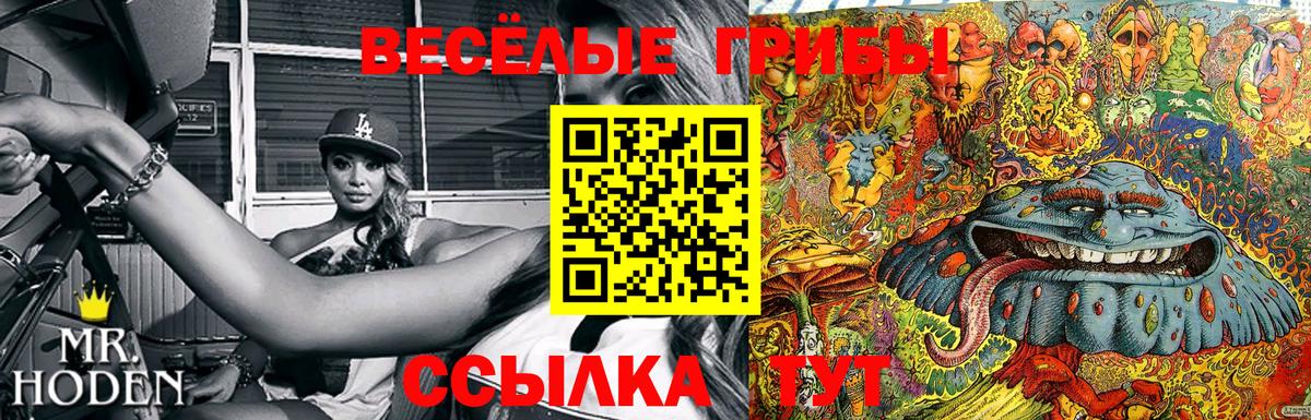 Галлюциногенные грибы Psilocybine cubensis  Вход с VPN  Богородск  Галлюциногенные грибы Psilocybe 