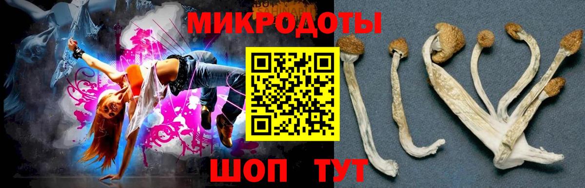 Псилоцибиновые грибы MAGIC MUSHROOMS Богородск